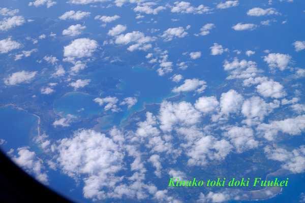 DSCF0050