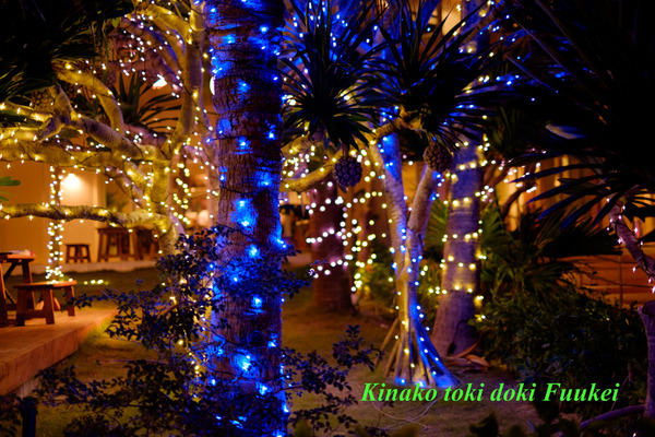 DSCF0219