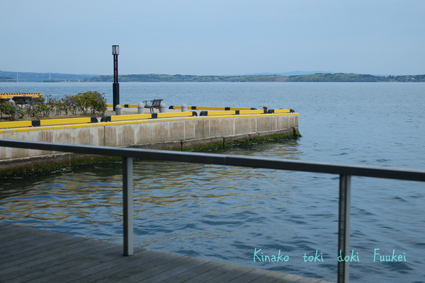 DSCF6178