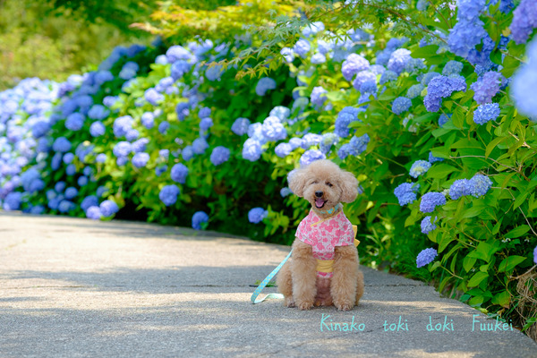 XT1F3097-6