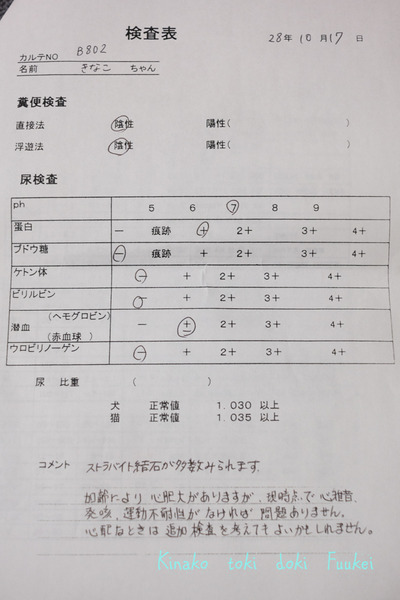 DSCF5389