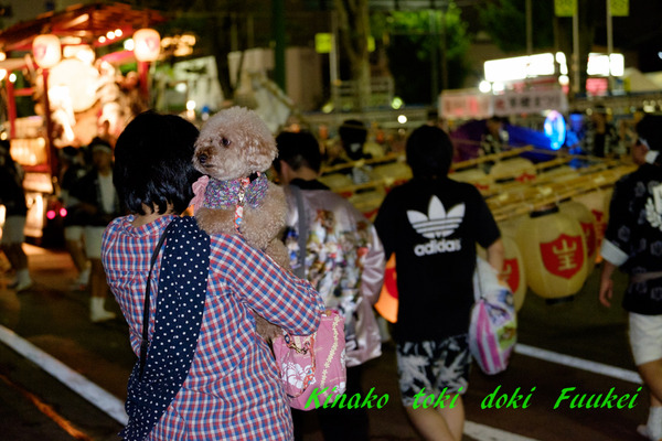 DSCF0408