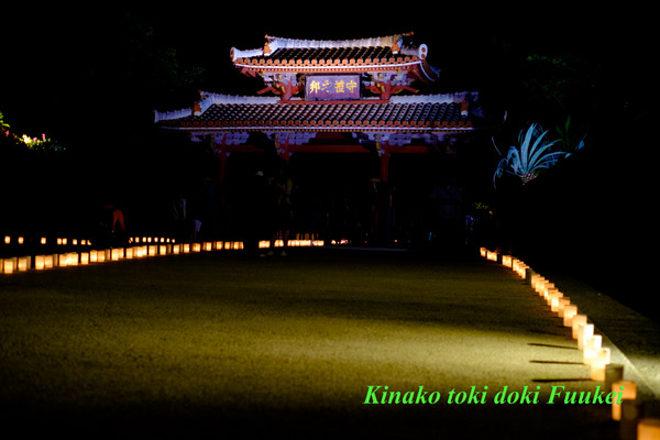 DSCF0199