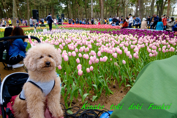 DSCF0145
