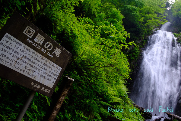 XT2F8299
