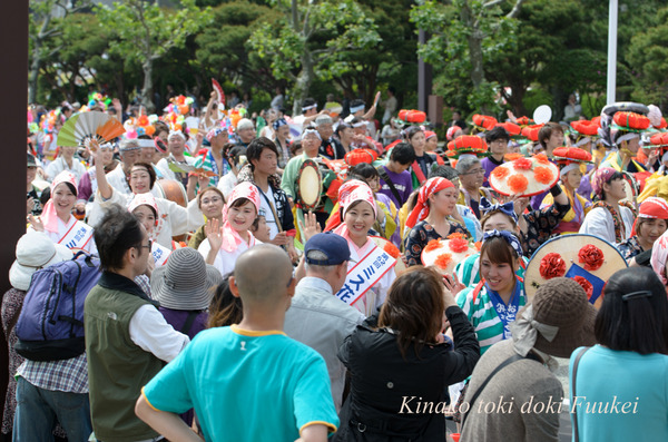 D7K_3533