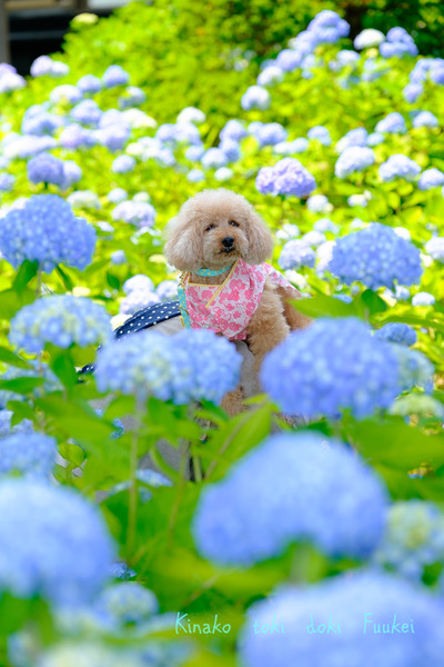 XT1F3181-11