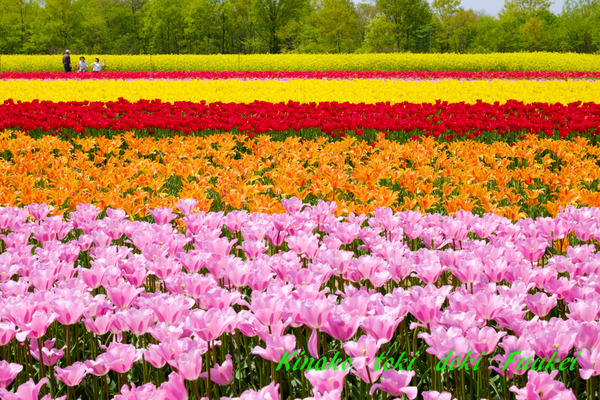DSCF0065