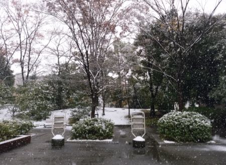 昨日