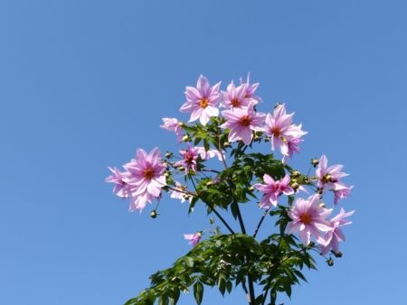 今日
