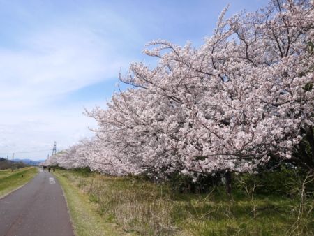 多摩川土手