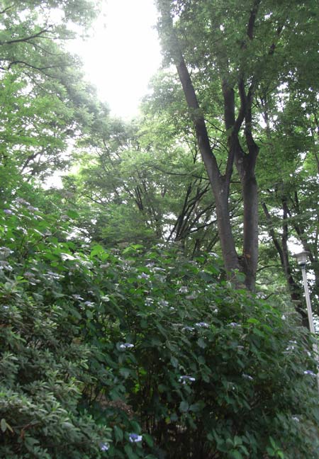 R0021295