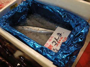 DSCN6065