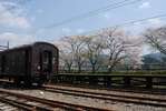 TRAIN LAST-SAKURA
