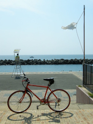 DSCN6015