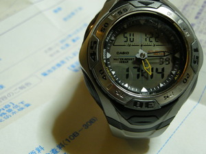DSCN6217