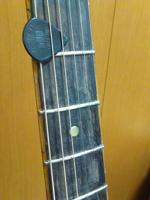KIMG2515