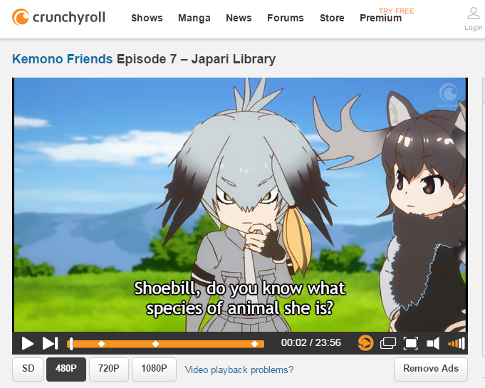 Crunchyroll Watch Kemono Friends Episode 7 Japari Library