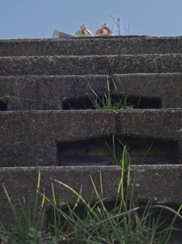 SPD筑豊さかえ屋18