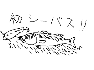½é¥·¡¼¥Ð¥¹