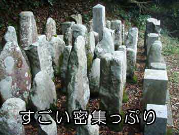ダムで移動した墓