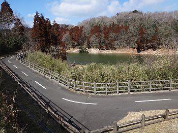 佐賀ひなまつり6