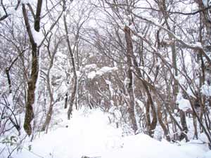 難所が滝2011-8