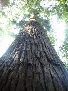 原付ズル登山5