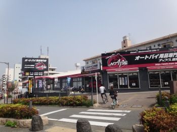ナップスもーもー1