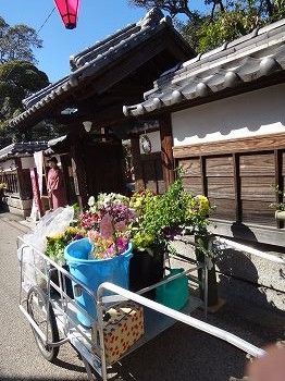 佐賀ひなまつり24