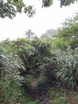 釈迦岳13