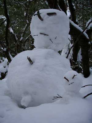 難所が滝2011-6