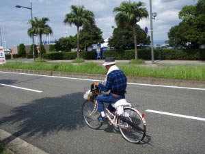山岳賞仕様
