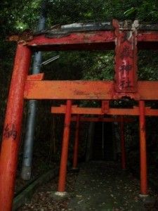 ロード志賀島6