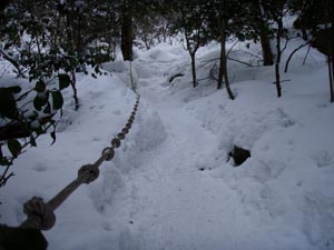難所が滝2011-7