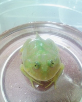 µ¹¤·¤¯¤ª´ê¤¤Ãפ·¤Þ¤¹