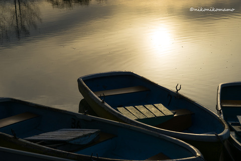_DSC4851