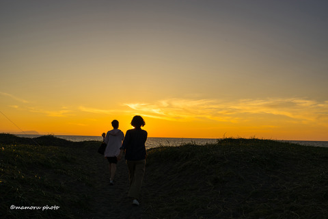 _DSC8666