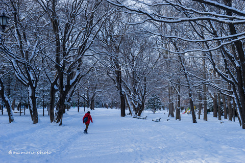 _DSC1203 (2)