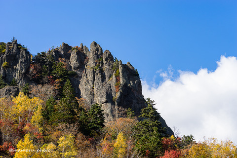 _DSC0091
