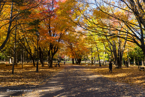 _DSC0302