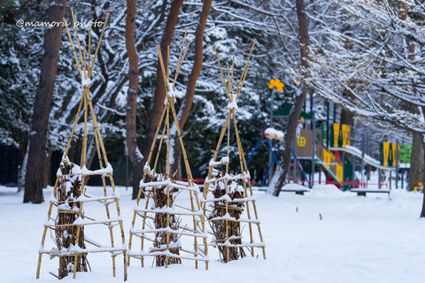 _DSC1218 (2)