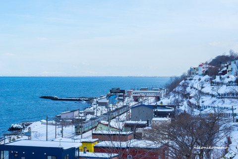 _DSC2826