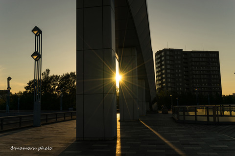 _DSC5849