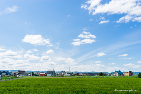 _DSC8526