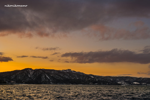 _DSC2572
