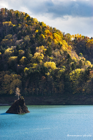 _DSC0086