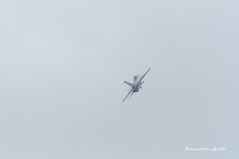 _DSC7785