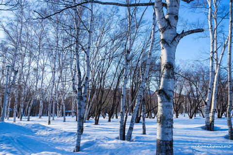 _DSC3230