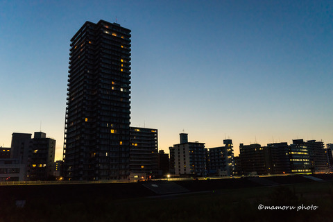 _DSC6145